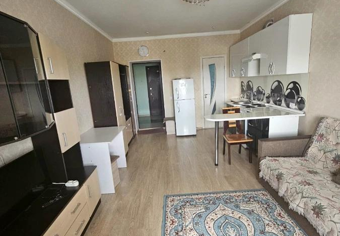 1-комнатная квартира, 24 м², 10/10 этаж, Тлендиева