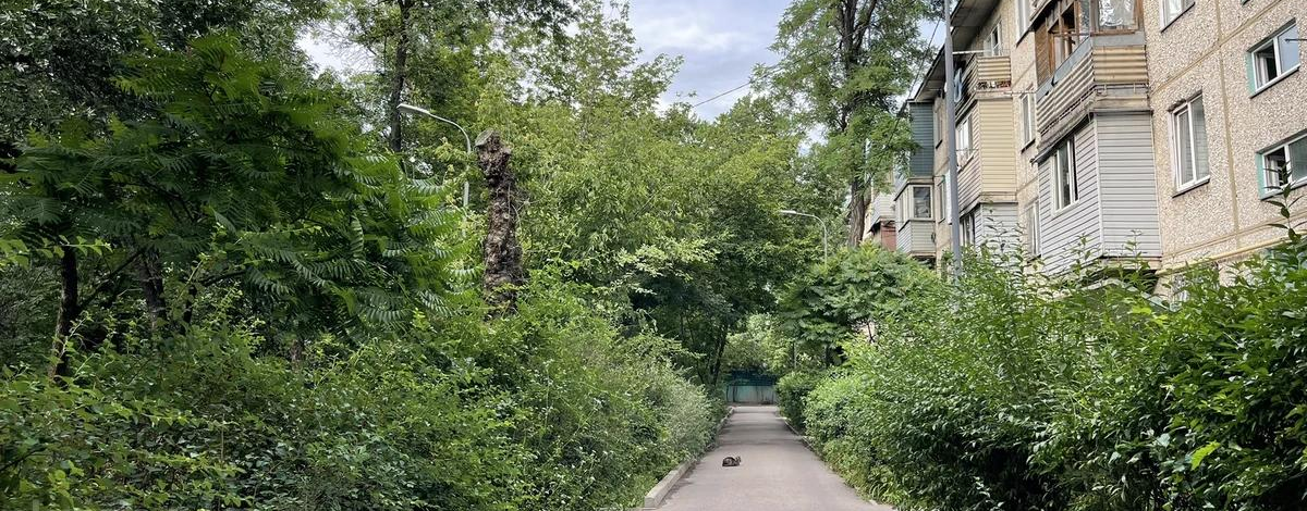 2-комнатная квартира, 45 м², 1/4 этаж, мкр №5 36