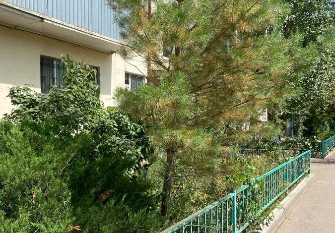 1-комнатная квартира, 30.3 м², 1/5 этаж, Байсеитовой 101/1