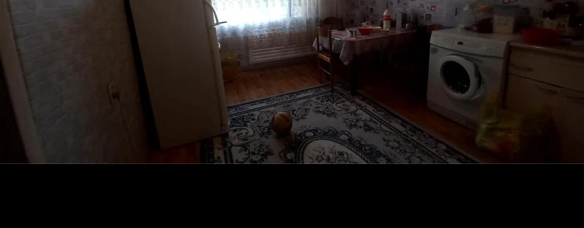 1-комнатная квартира · 34.3 м² · 3/5 этаж, Толстого 104