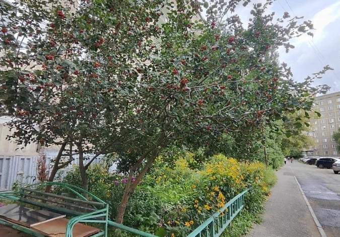 2-комнатная квартира · 51 м² · 8/12 этаж, Естая 99